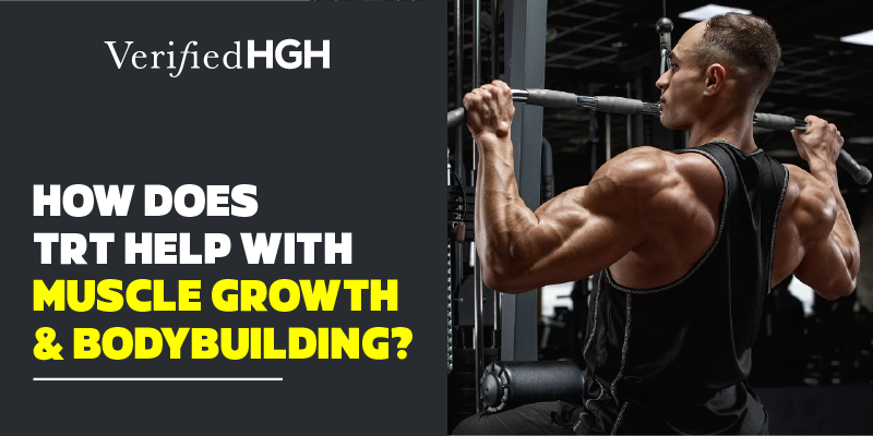Muscle growth supplements