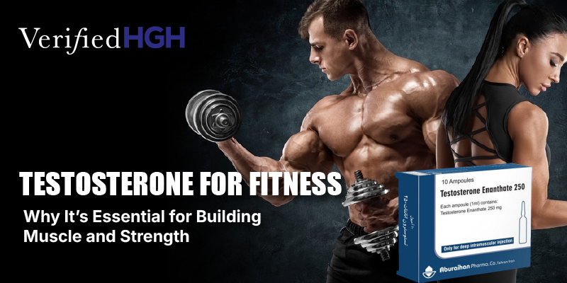 testosterone for fitness enthusiasts